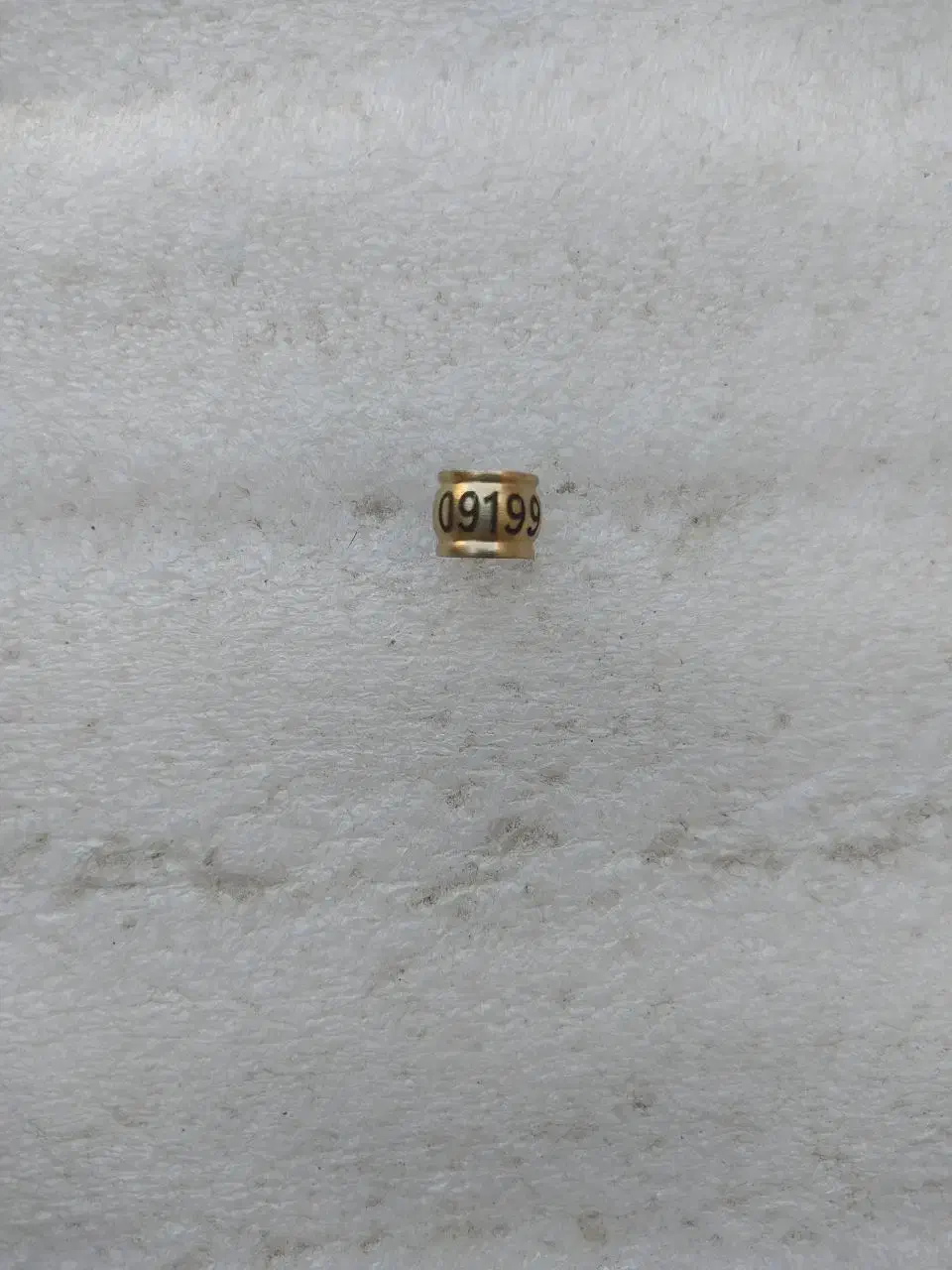 حلقه پلاک کبوتر. لیزری|لوازم جانبی حیوانات|احمدآبادمستوفی, |دیوار