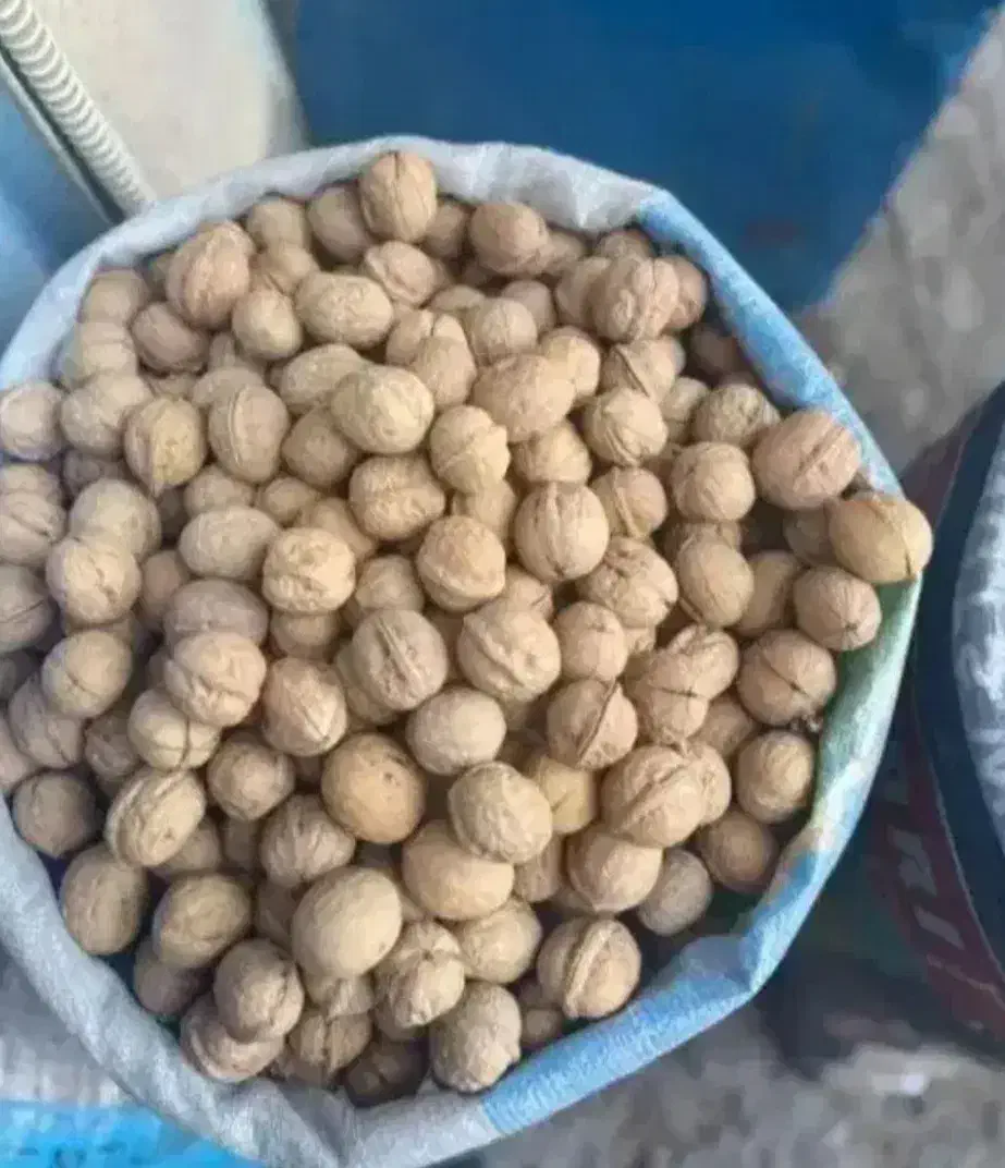 فروش گردو و مغز گردو خارجی|خوردنی و آشامیدنی|تهران, بوستان چیتگر|دیوار