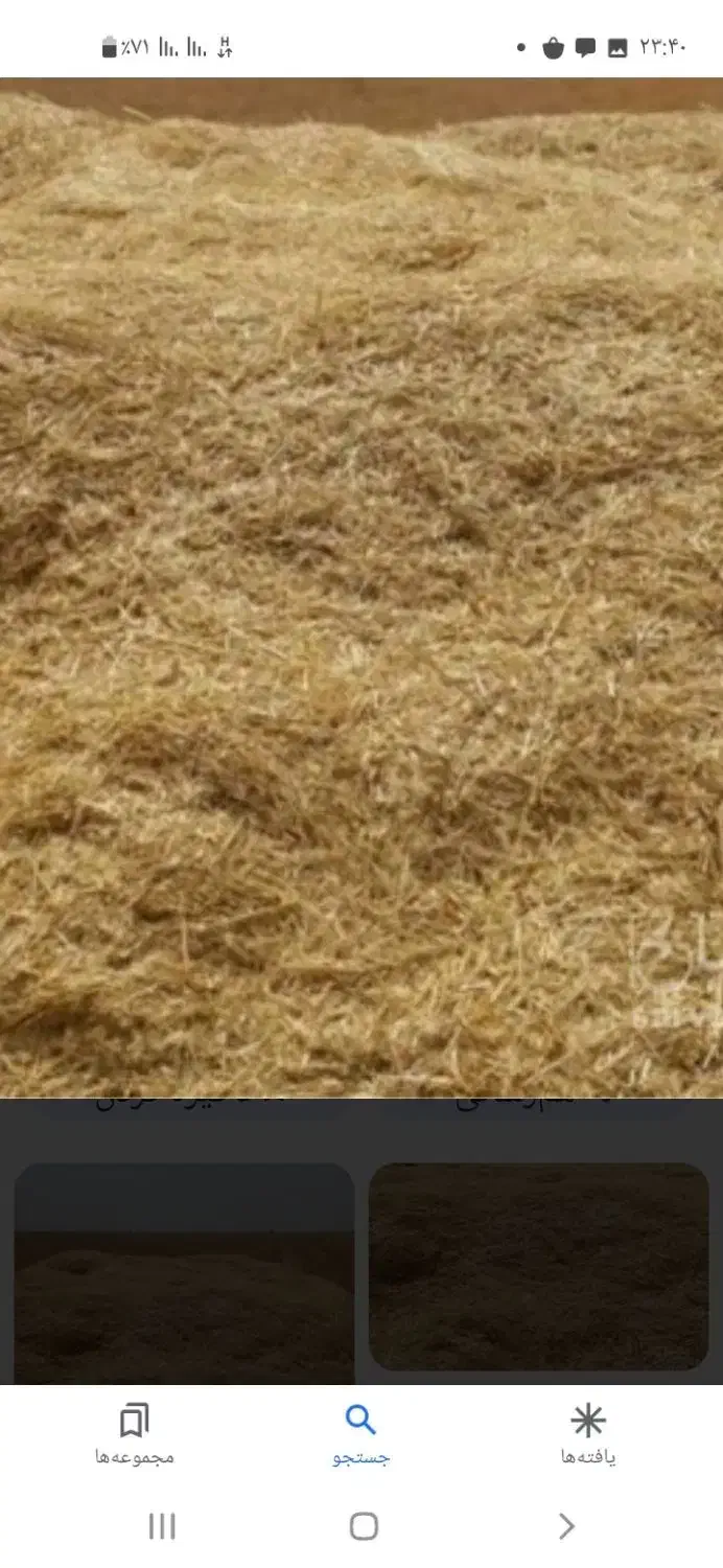 کاه درجه ۱|خدمات باغبانی و درختکاری|دهگلان, |دیوار