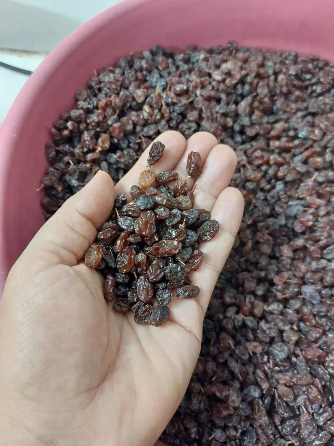 کشمش آفتابی|خوردنی و آشامیدنی|پاکدشت, پاکدشت (مامازند)|دیوار