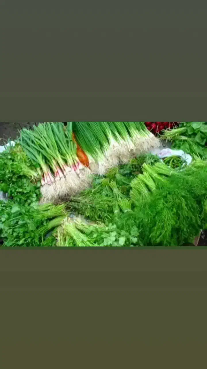 سبزی فروشی معین در رشت|خوردنی و آشامیدنی|رشت, دیانتی|دیوار