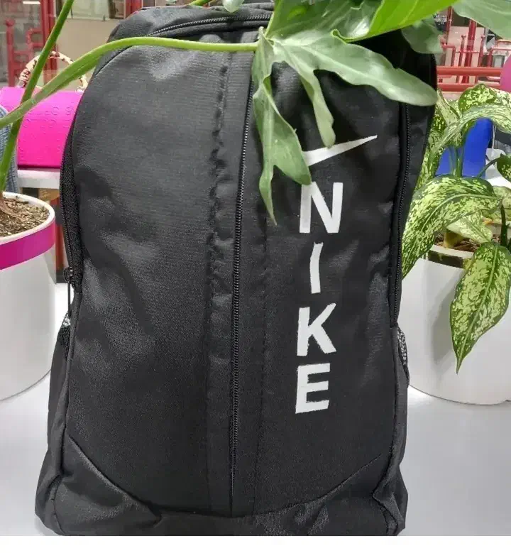 فروشی|کیف، کفش، کمربند|گرگان, |دیوار