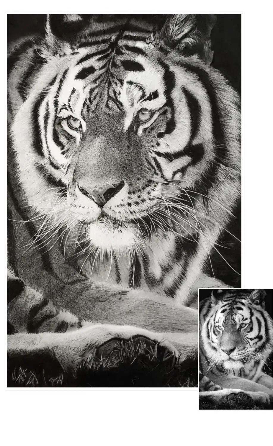 طراحی چهره سیاه قلم و مدادرنگی|تابلو، نقاشی، عکس|مرودشت, ابوذر جنوبی|دیوار