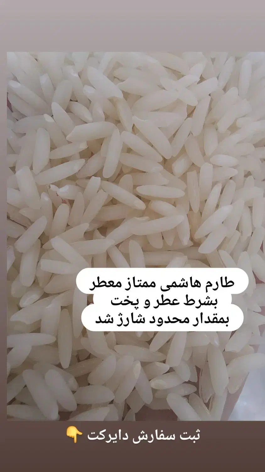 برنج طارم هاشمی گیلان اصل مستقیم از کشاورز|خوردنی و آشامیدنی|ورامین, ورامین|دیوار