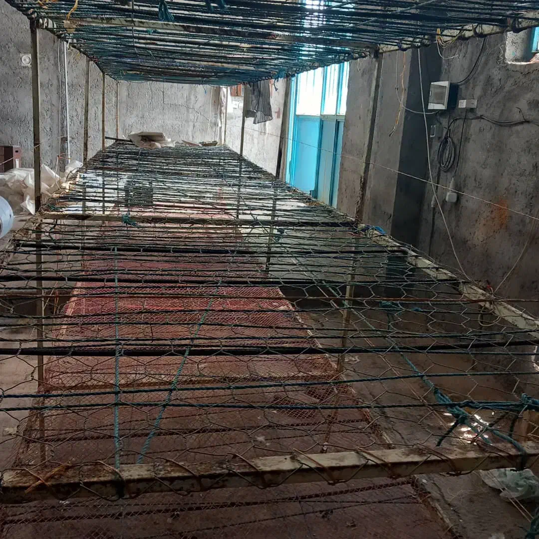 قفسه فلزیی  (6متر طول عرض 1/20 در سه طبقه)|فروشگاه و مغازه|میانه, |دیوار