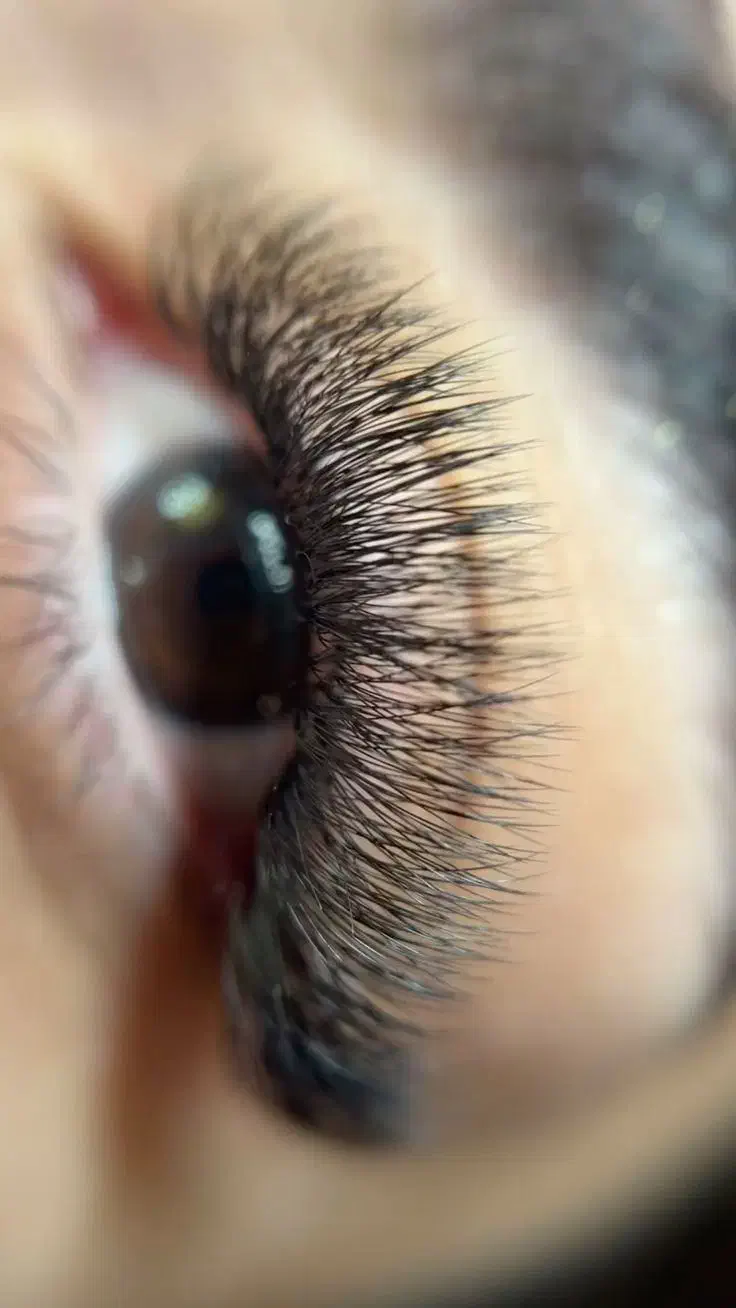 اکستنشن مژه،لیفت مژه ولیفت ابرو|خدمات آرایشگری و زیبایی|داراب, |دیوار