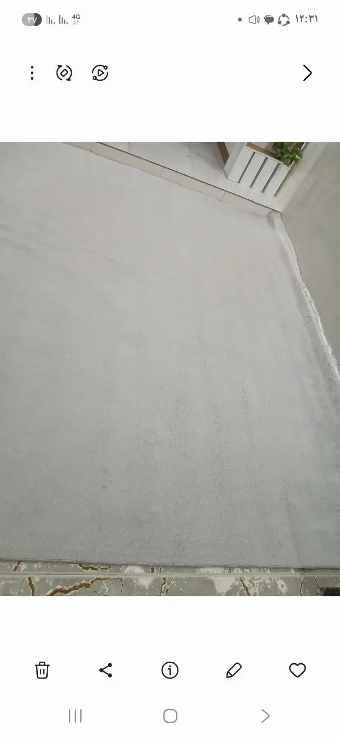 موکت پالاز|موکت|مرودشت, ژیان|دیوار