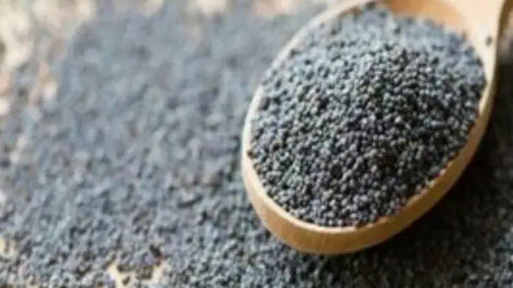 درمان گیاهی و بدون عوارض ریزش مو...|آرایشی، بهداشتی، درمانی|جیرفت, |دیوار