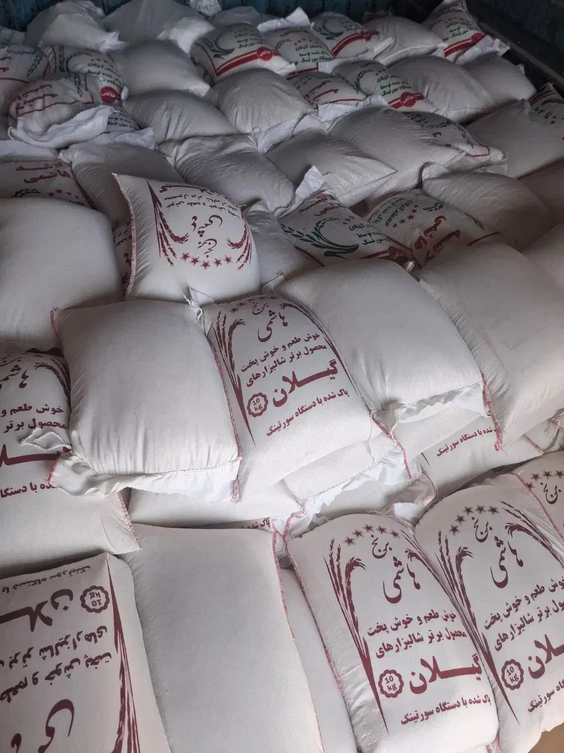 عرضه برنج های ایرانی باچک ۶ ماهه|خوردنی و آشامیدنی|ابهر, |دیوار