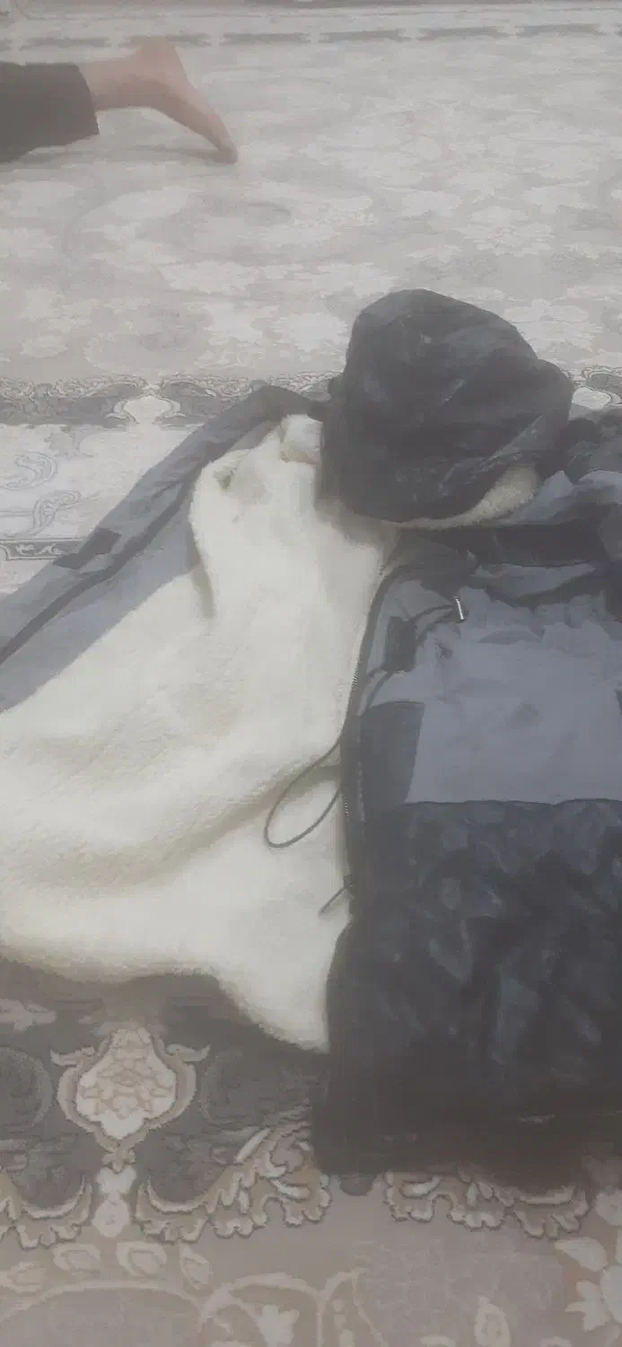 کاپشن دخترانه|لباس|جوانرود, |دیوار