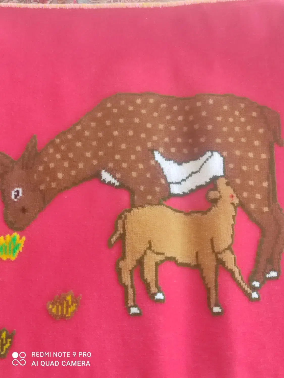 گلیم ترکی|گلیم، جاجیم، گبه|برازجان, |دیوار