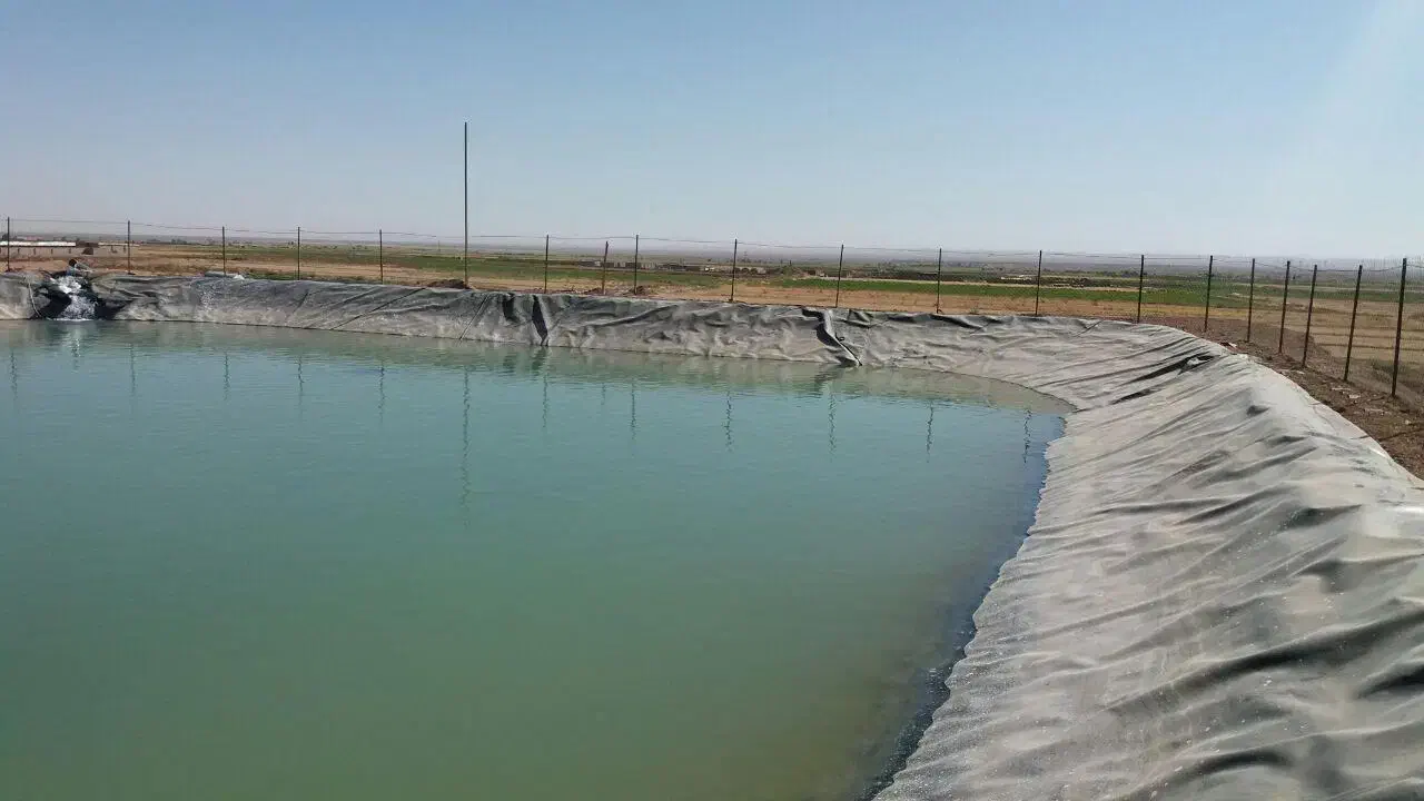 ساخت استخر|مصالح و تجهیزات ساختمان|بیرجند, |دیوار