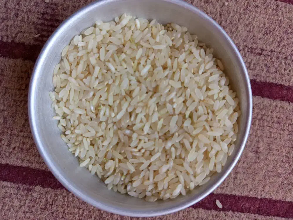 برنج کامفیروز اصل|خوردنی و آشامیدنی|بهمن صغاد, |دیوار