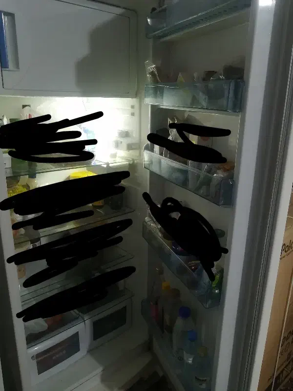 یخچال|یخچال و فریزر|شیراز, تندگویان|دیوار