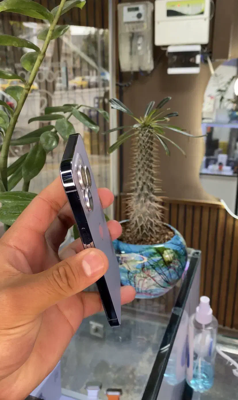 13پرو|موبایل|آشخانه, |دیوار