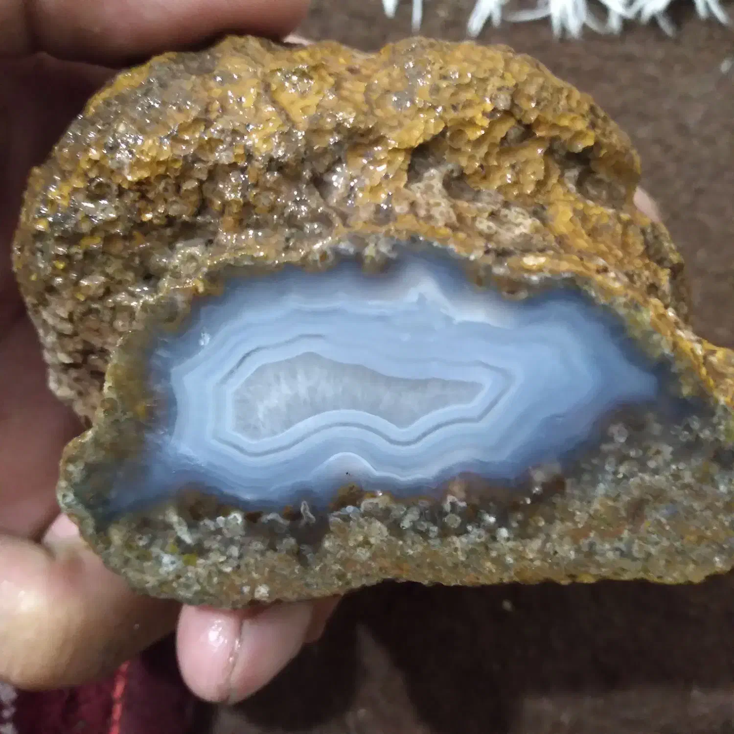 فقط به صورت دانه ای|جواهرات|بیرجند, |دیوار