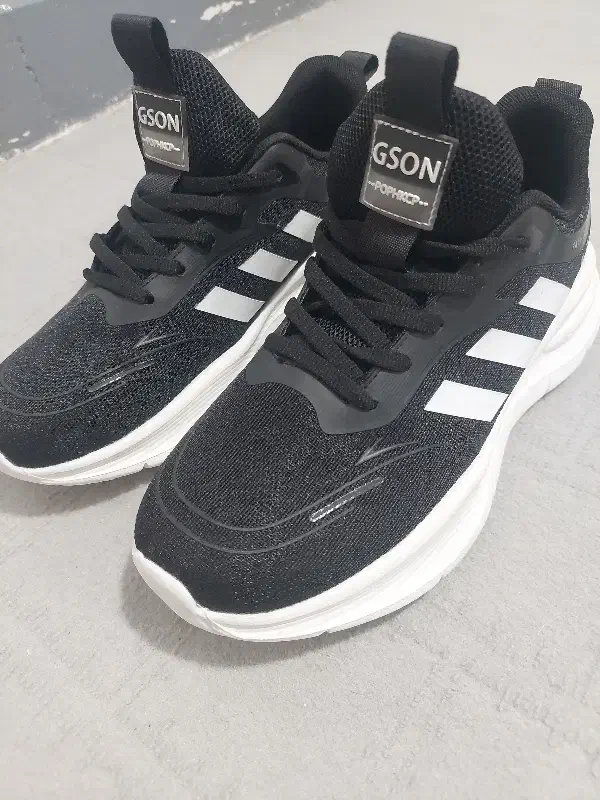 کفش کتانی مستر|کیف، کفش، کمربند|بوشهر, |دیوار