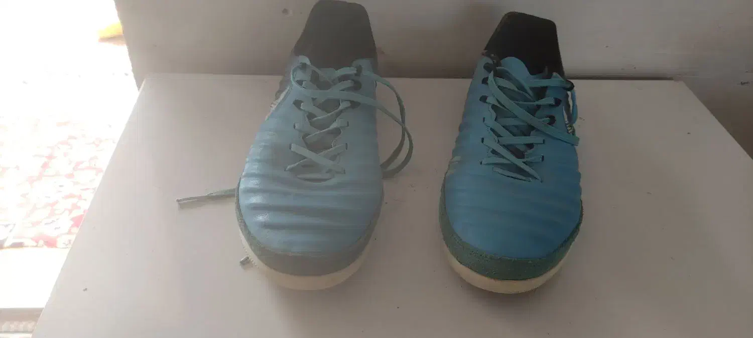 کفش فوتسال لونارگتو|تجهیزات ورزشی|ساری, |دیوار