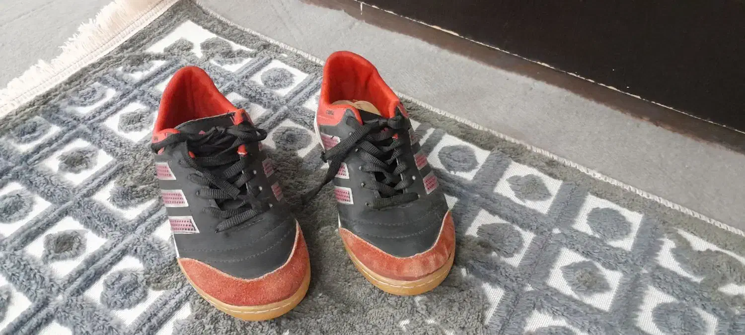 کفش سالن|کیف، کفش، کمربند|تربت جام, شهید غلام زاده|دیوار