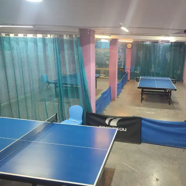 پینگ پنگ بانوان|ورزش‌های توپی|مشهد, دانشجو|دیوار