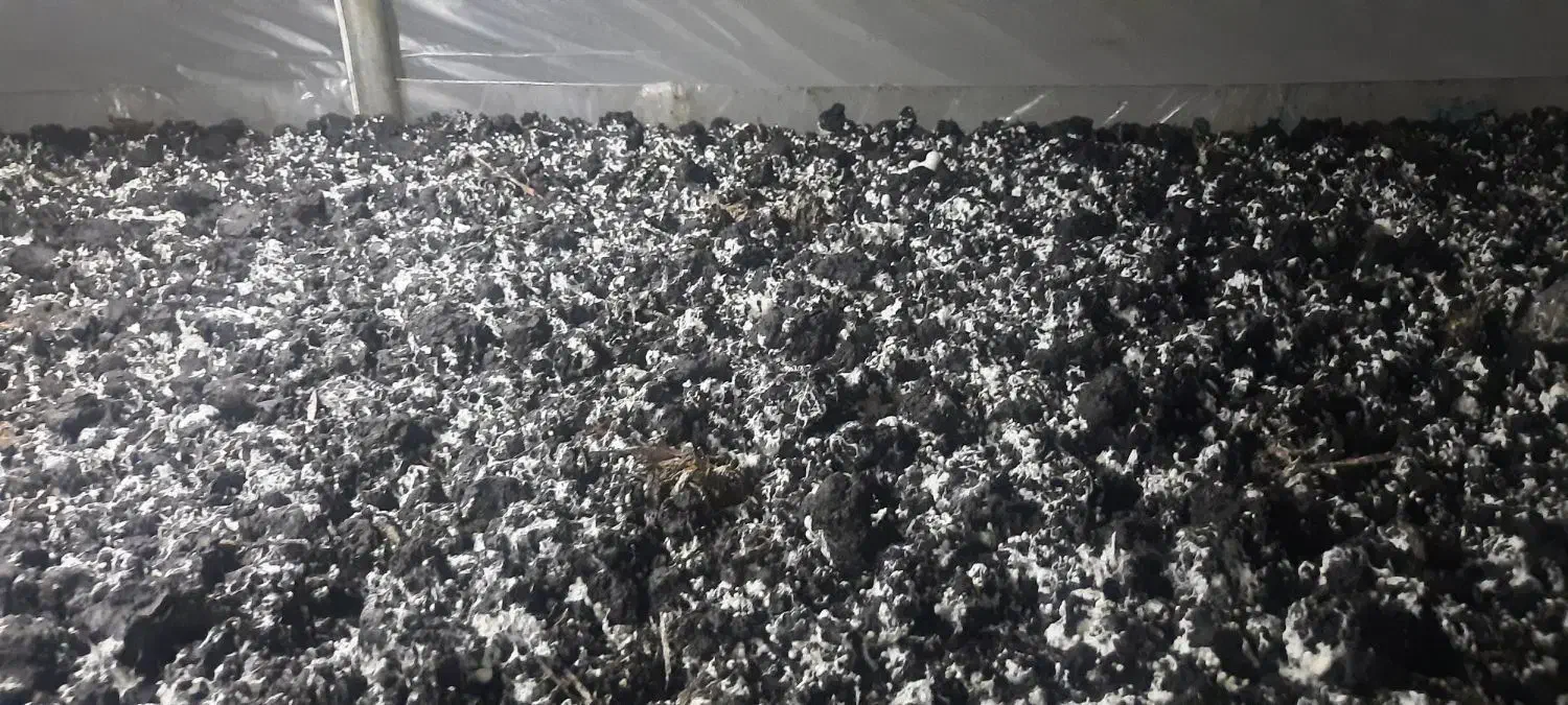 استخدام نیروی کاری در سالن قارچ|استخدام صنعتی، فنی، مهندسی|تهران, زمزم|دیوار