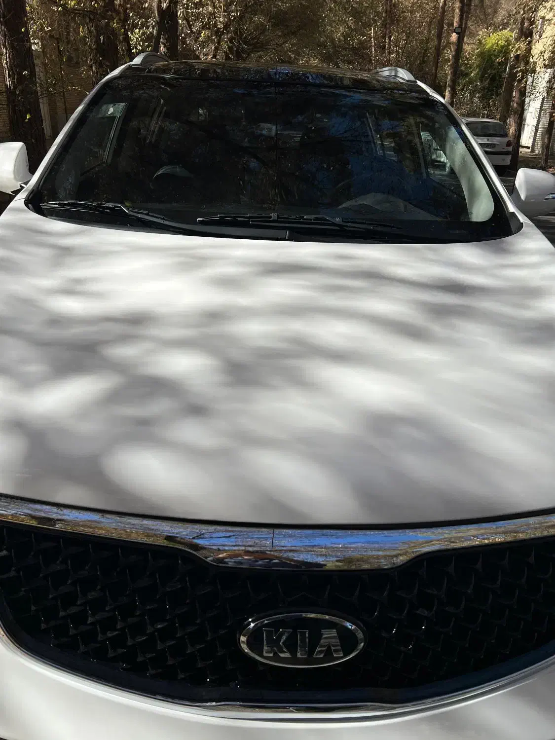 اسپرتیج 2015 تک برگ سند در حد صفر بی نظیر|خودرو سواری و وانت|حمیدیا, |دیوار