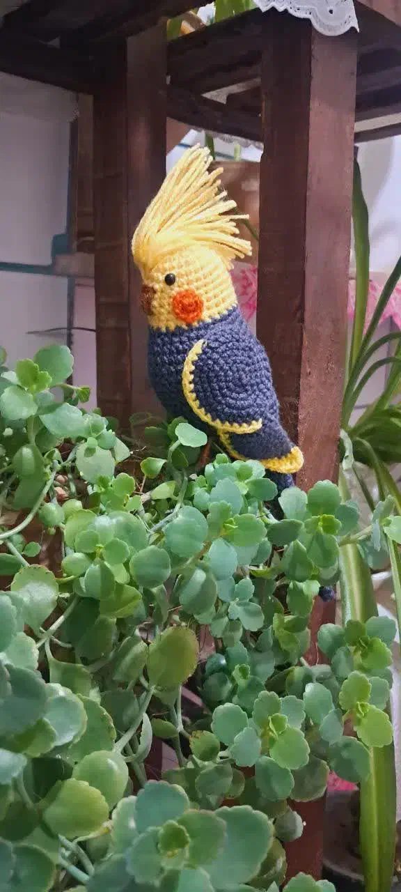 عروس هلندی|صنایع دستی و سایر لوازم تزئینی|کرمان, |دیوار