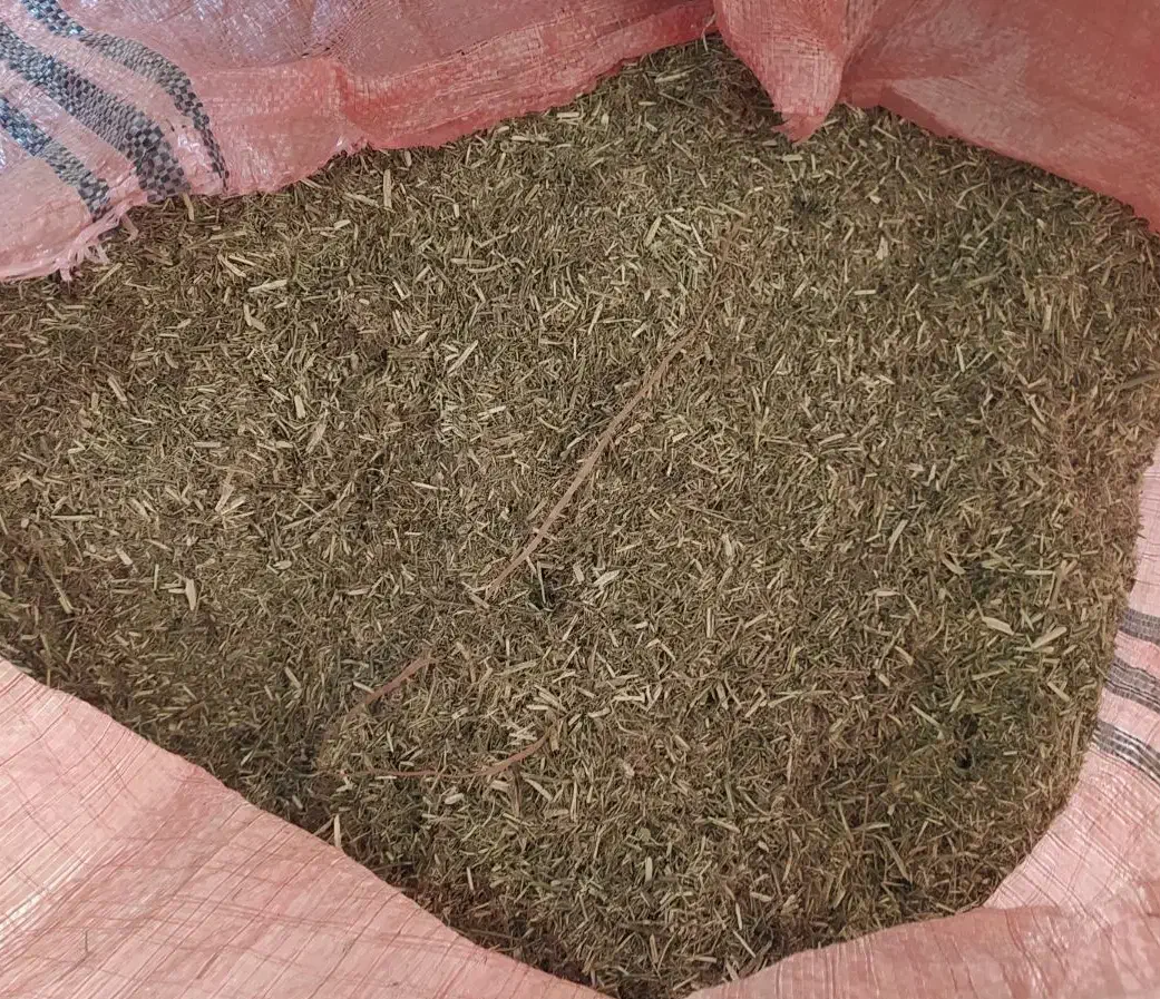 خارشتر تابستانه بادست زده شده|حیوانات مزرعه|انبارآلوم, |دیوار