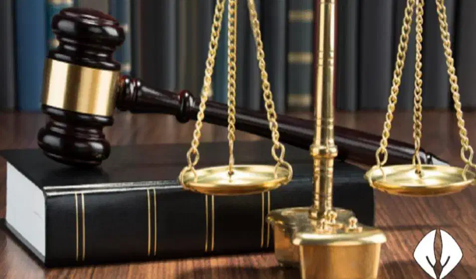 وکیل دادگستری|خدمات مالی، حسابداری، بیمه|سنندج, |دیوار