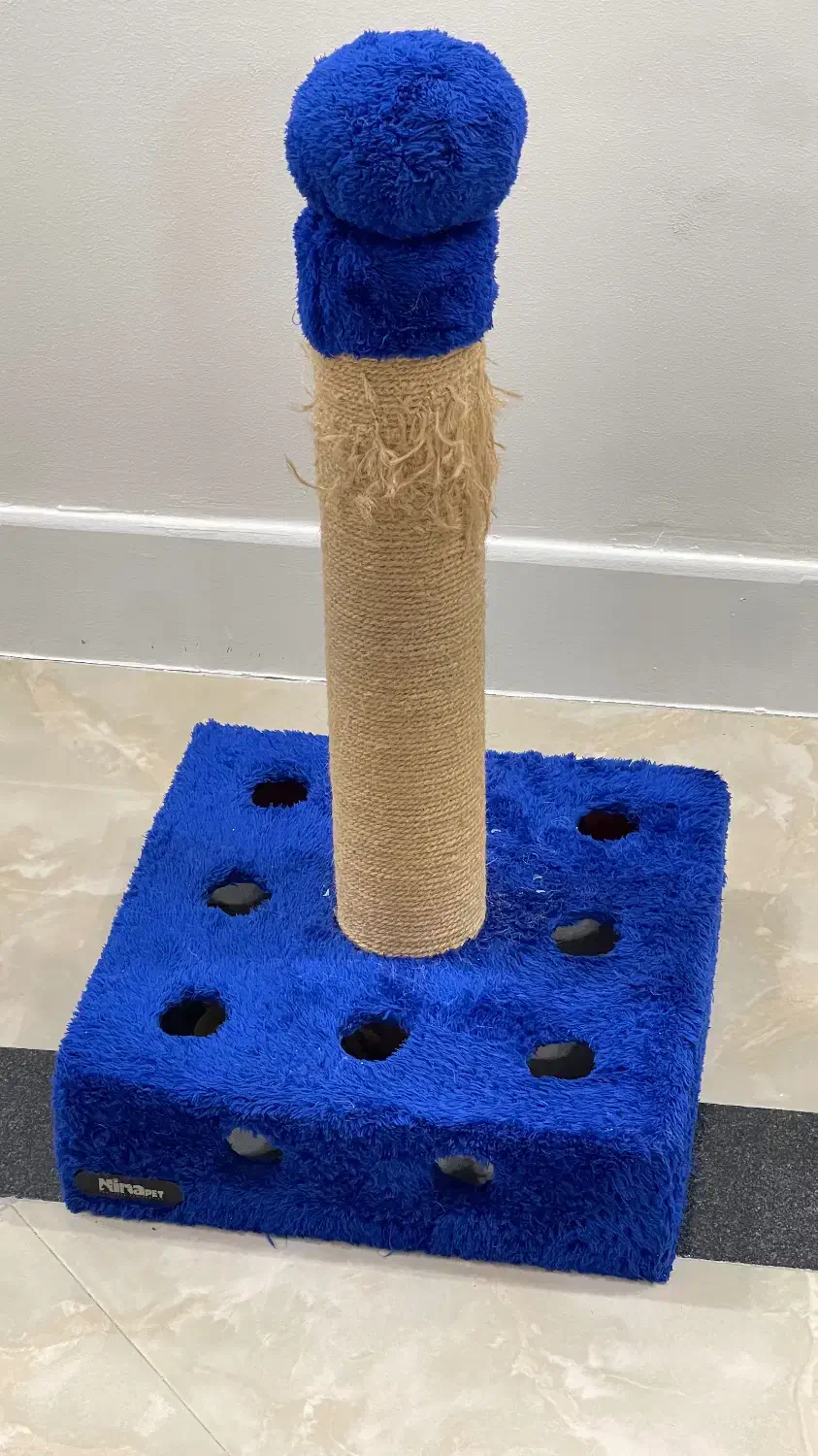 اسکراچر گربه|لوازم جانبی حیوانات|آمل, |دیوار