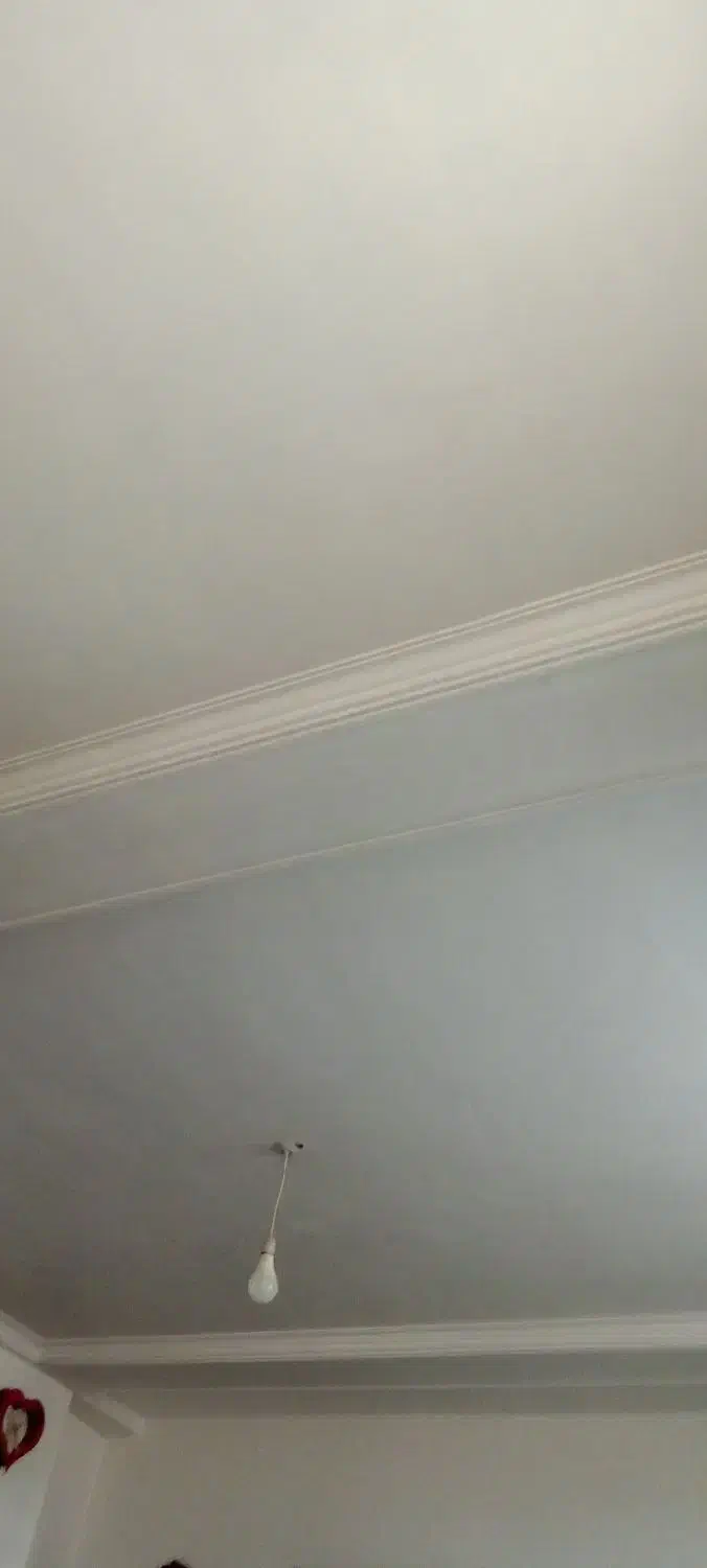 کچ کاری سفید کاری|خدمات پیشه و مهارت|مراغه, |دیوار