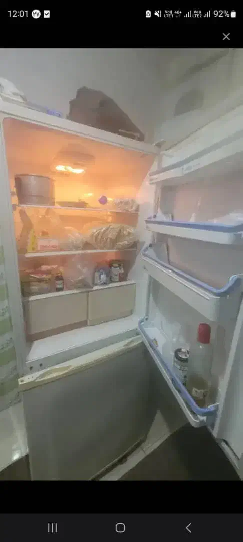 فروشی یخچال|یخچال و فریزر|رشت, دخانیات|دیوار