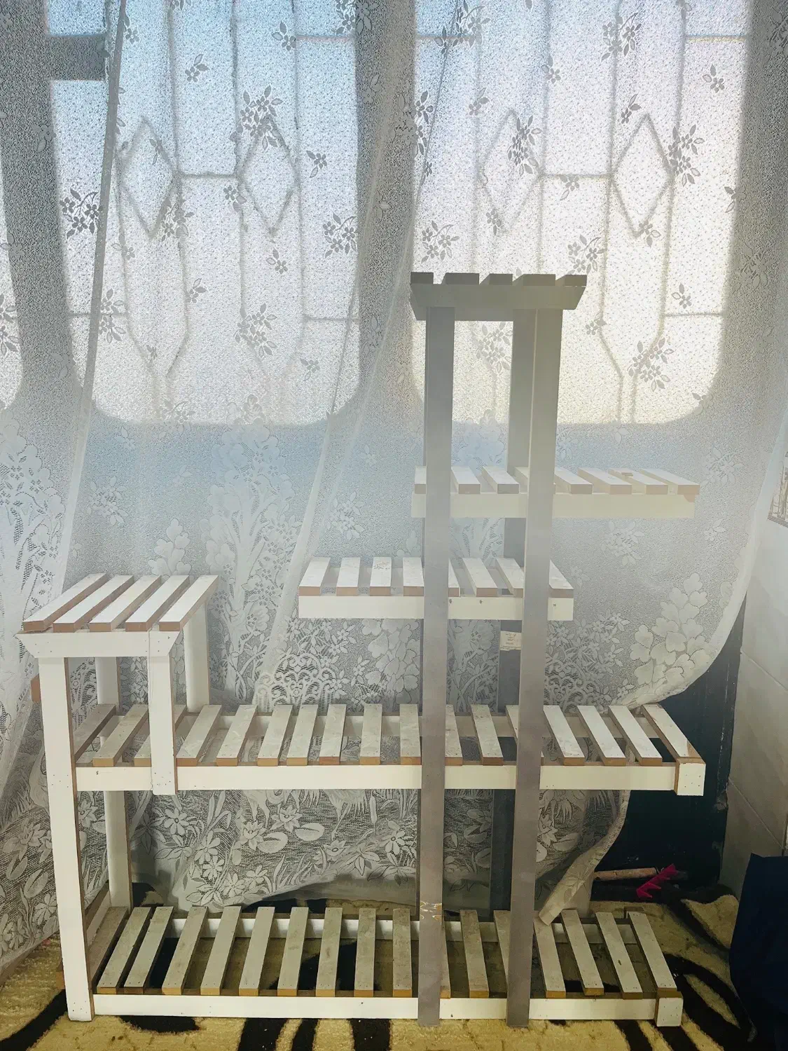 استند گل|گل و گیاه طبیعی|شیراز, صاحب الزمان|دیوار