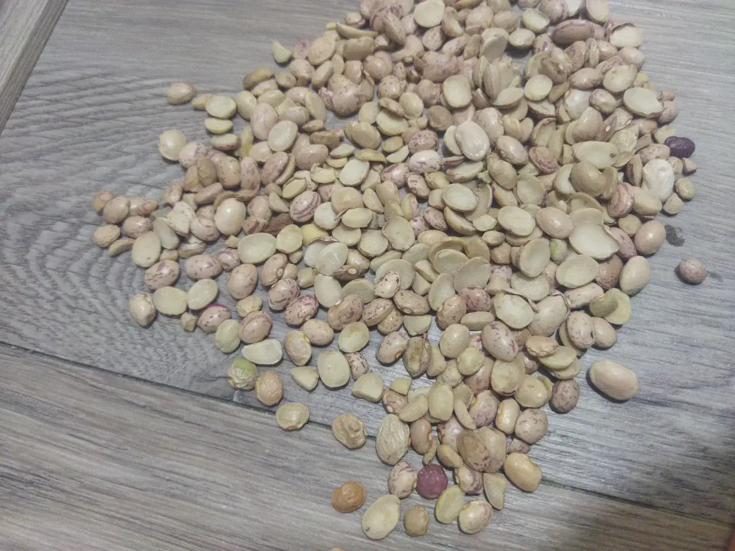 لوبیای دولپه اشی|خوردنی و آشامیدنی|شیراز, گلشن|دیوار