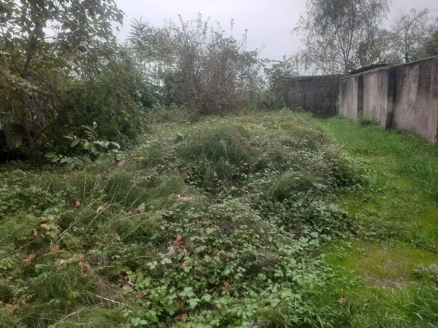 ۱۳۰م زمین مسکونی بلوار امام علی رشت قیمت شکاری|فروش زمین و ملک کلنگی|رشت, کوی قدس|دیوار