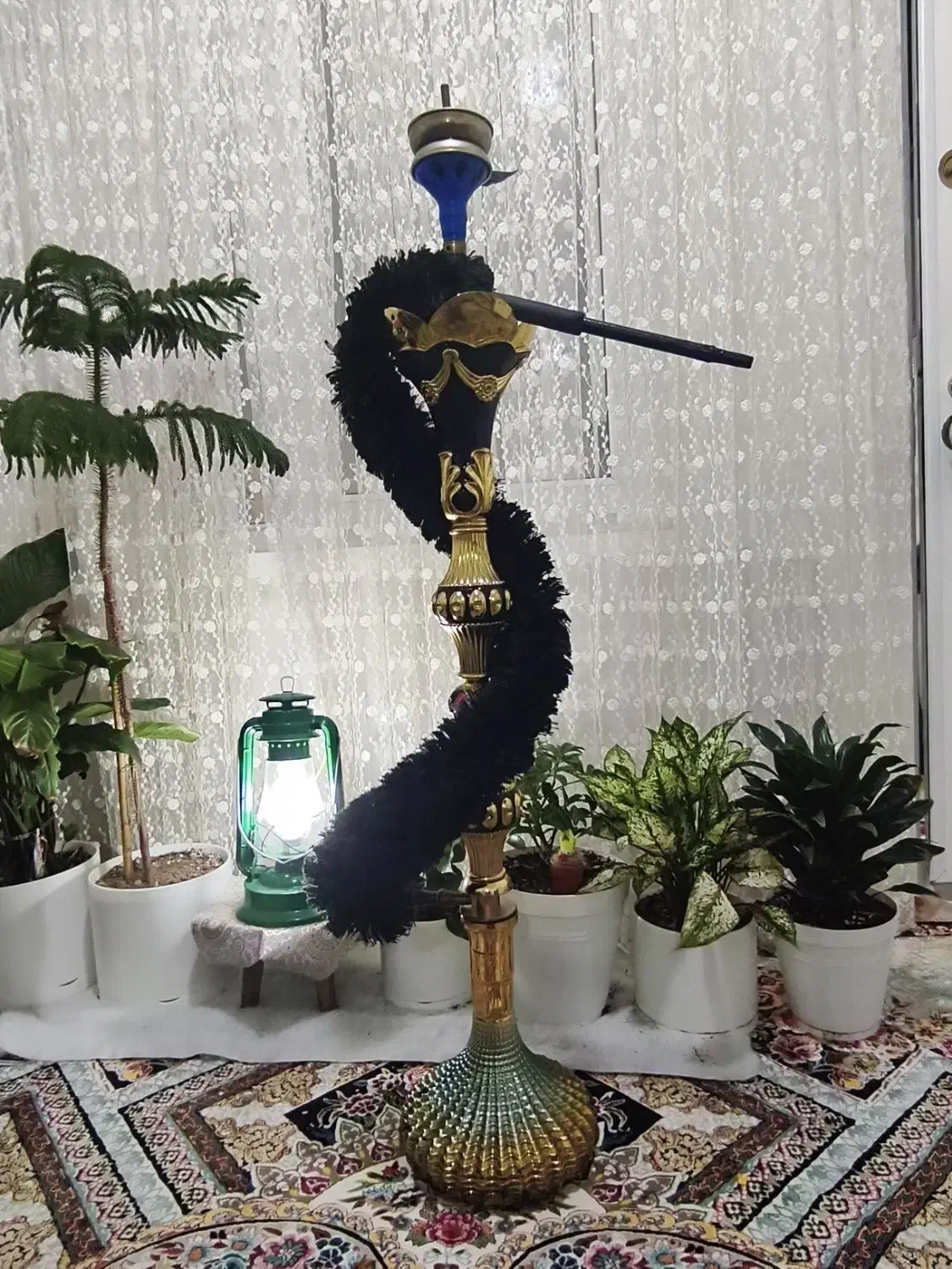 قلیون سنتی|کلکسیون و سرگرمی|بندر دیر, |دیوار