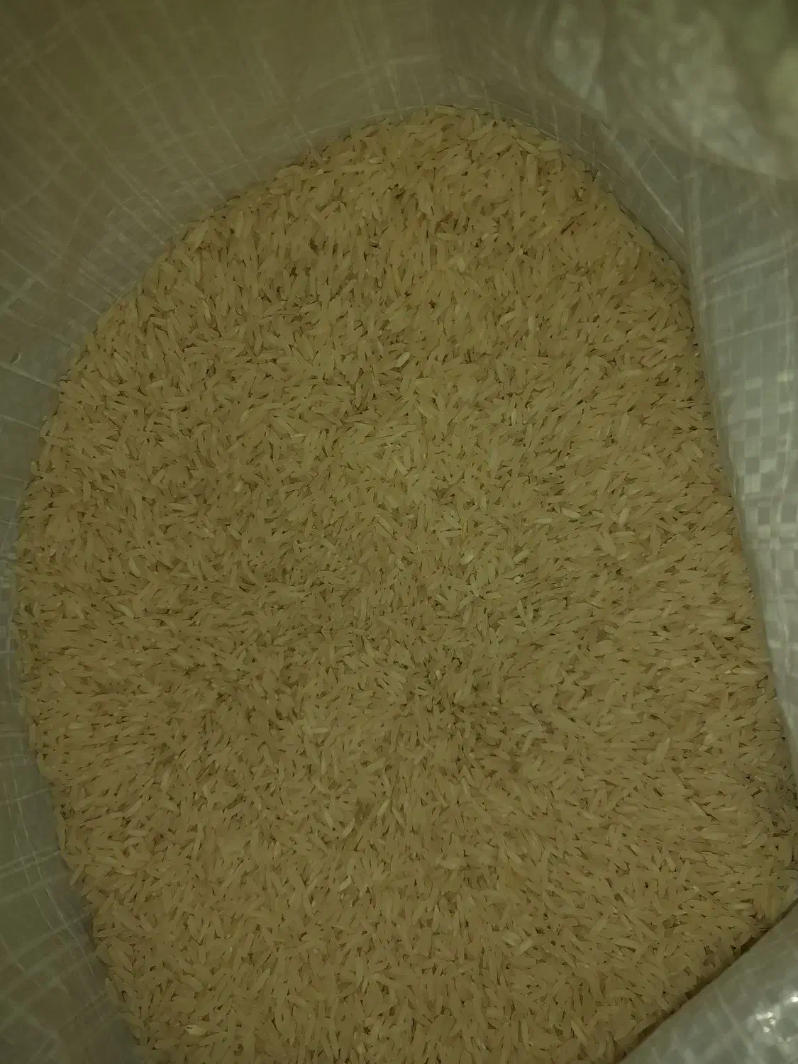 برنج هاشمی کشت دوم|عمدهفروشی|مشگین شهر, |دیوار