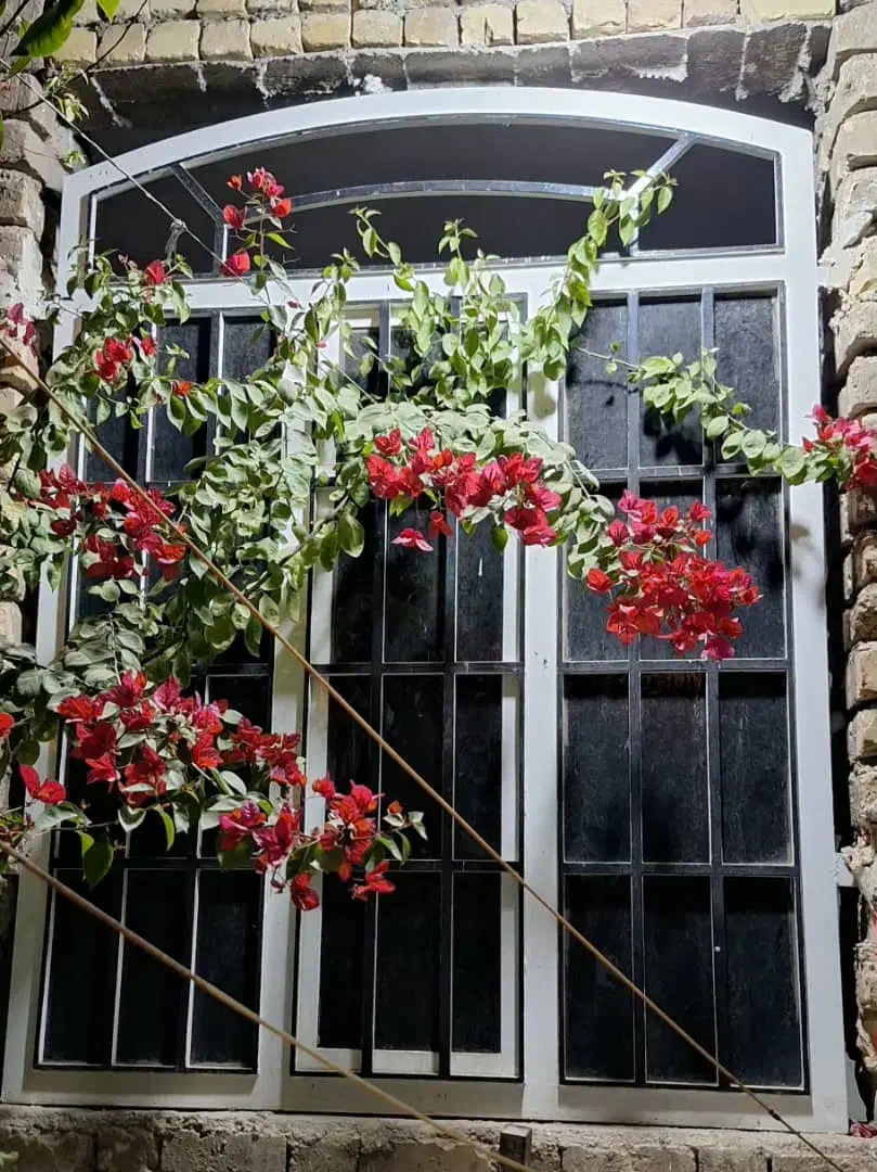 پنجره آهنی|مصالح و تجهیزات ساختمان|زرقان, |دیوار