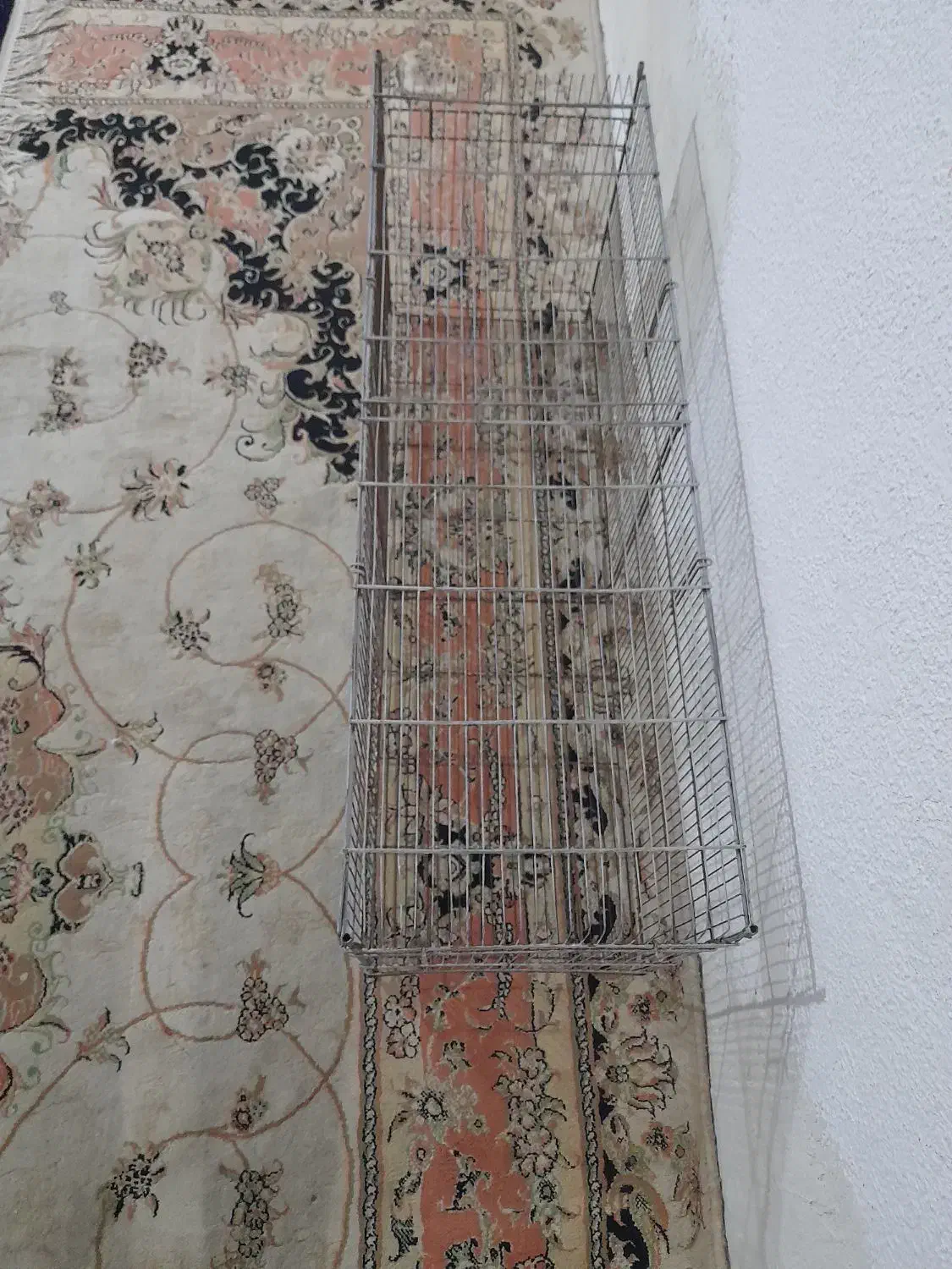 قفس|لوازم جانبی حیوانات|تهران, میرداماد|دیوار