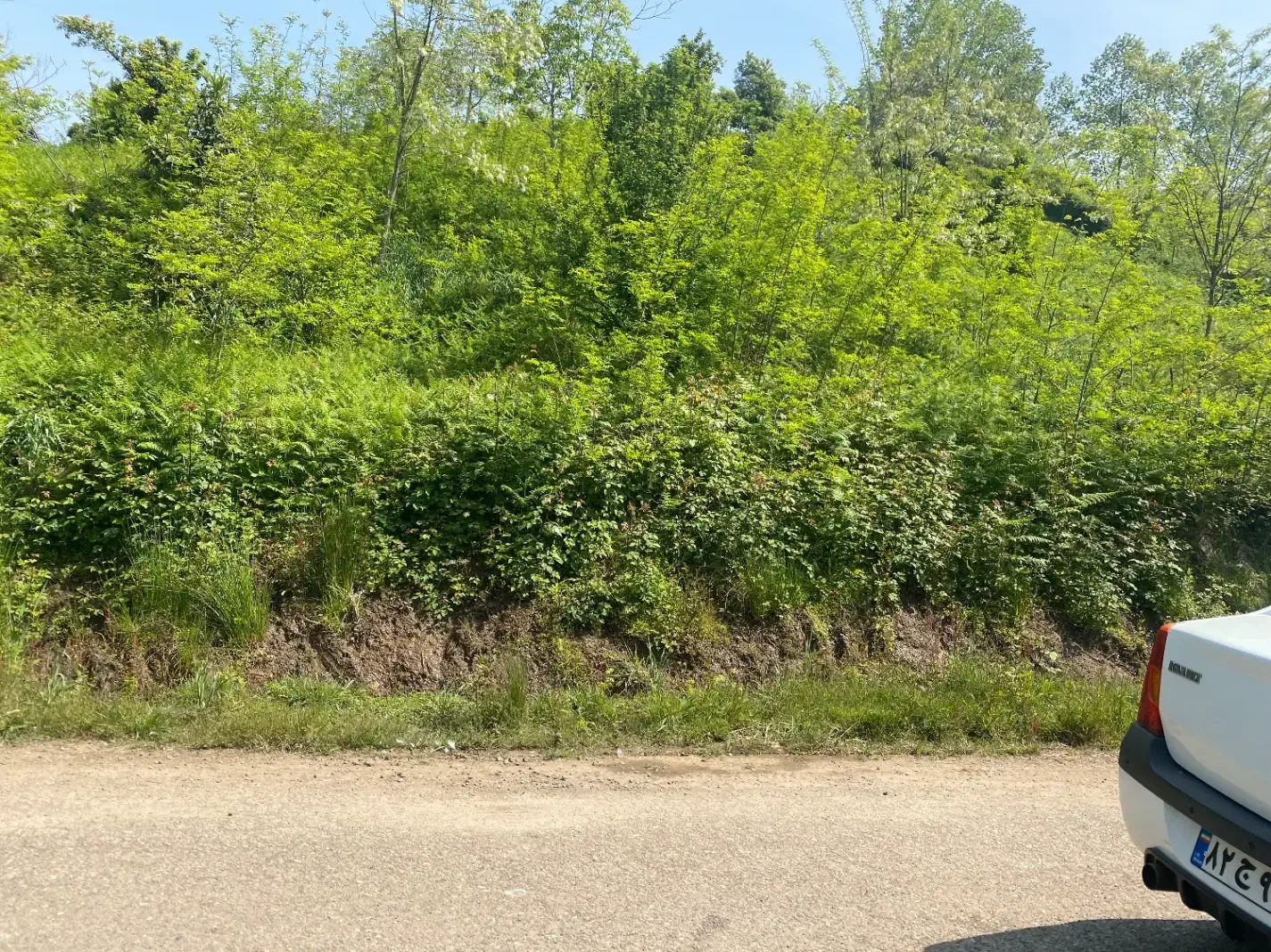 زمین مسکونی|فروش زمین و ملک کلنگی|لاهیجان, شیخ زاهد|دیوار