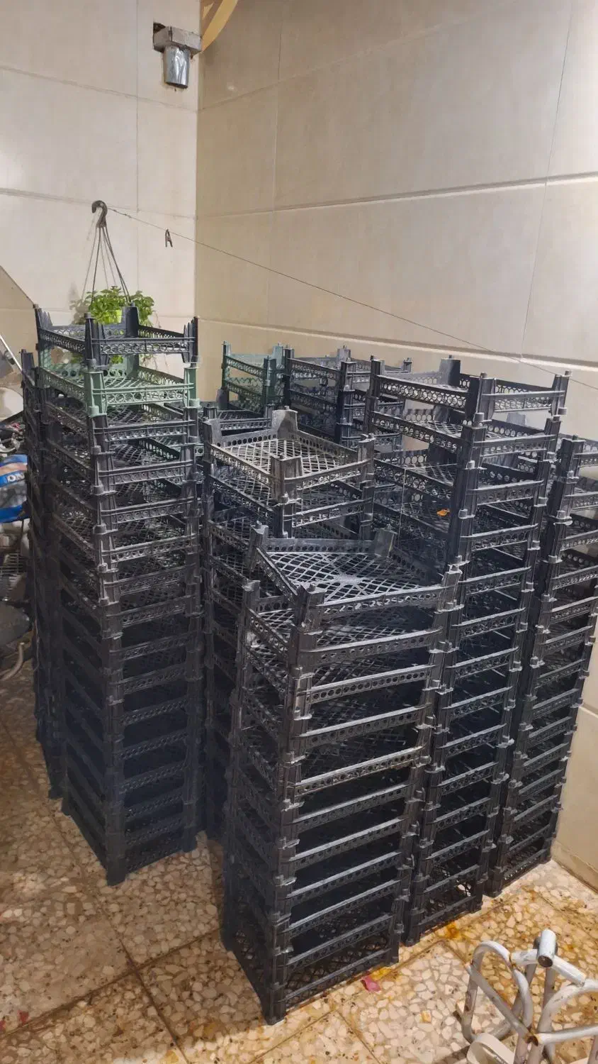 جعبه میوه|ظروف نگهدارنده، پلاستیکی، یکبارمصرف|کاشان, پارک لاله|دیوار