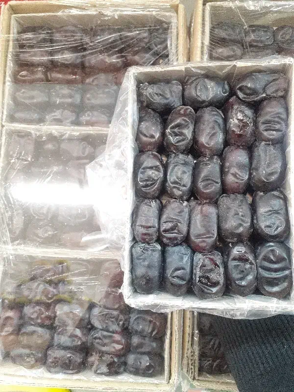 پخش خرما|خوردنی و آشامیدنی|مشهد, عامل|دیوار