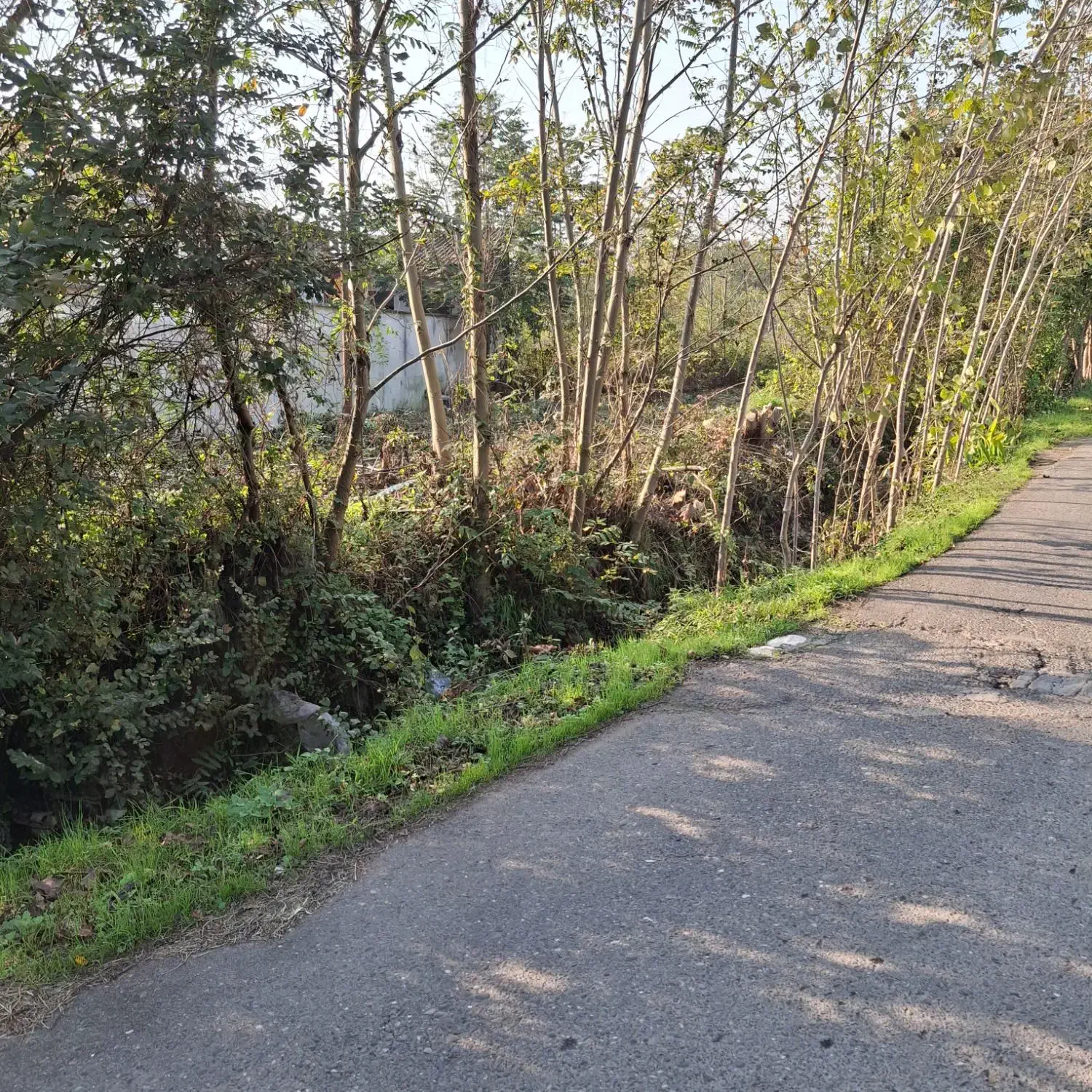 فروش زمین کامل مسکونی با نامه مسکونی|فروش زمین و ملک کلنگی|کوچصفهان, |دیوار