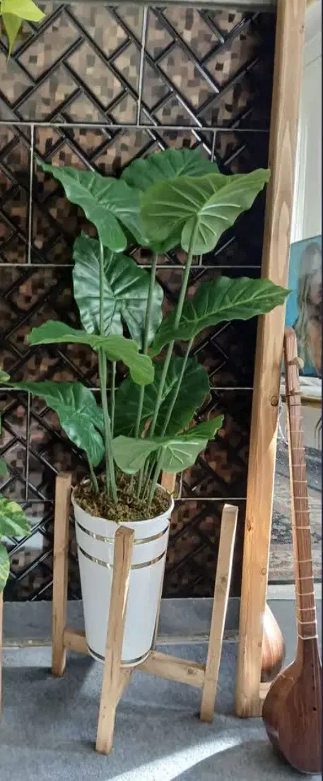 گیاه مصنوعی|گل مصنوعی|بندرعباس, |دیوار