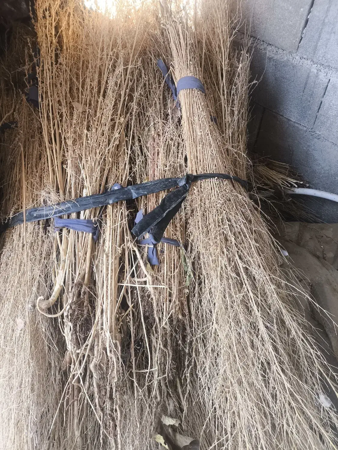 جاروی دستی|لوازم نظافت|جوانرود, |دیوار