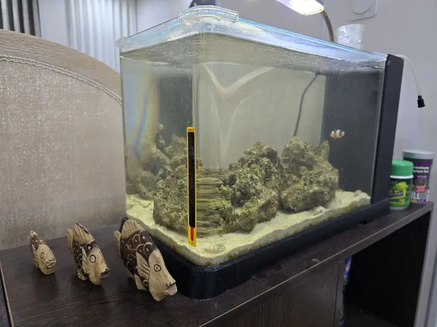 آکواریوم آب شور|ماهی|بندر ماهشهر, |دیوار