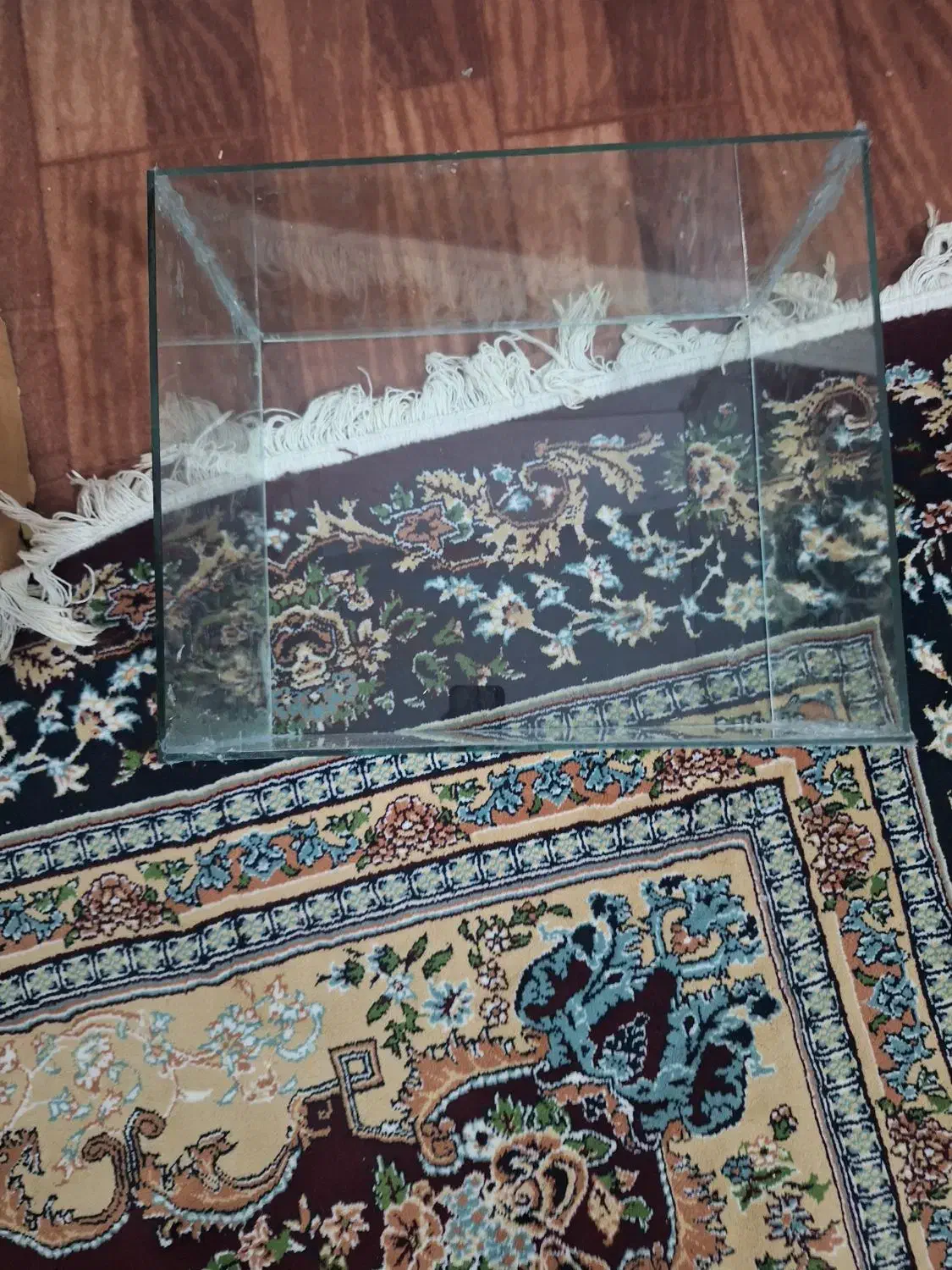 آکواریوم ارزان|ماهی|سقز, |دیوار