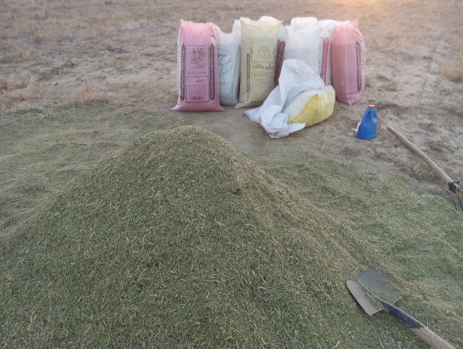 کاه خار شتر فروش|لوازم جانبی حیوانات|نیشابور, مازول|دیوار