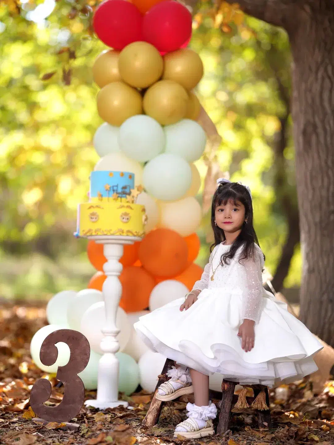 عکس آتلیه مجازی وکلیپ تولد|خدمات پذیرایی، مراسم|جهرم, |دیوار