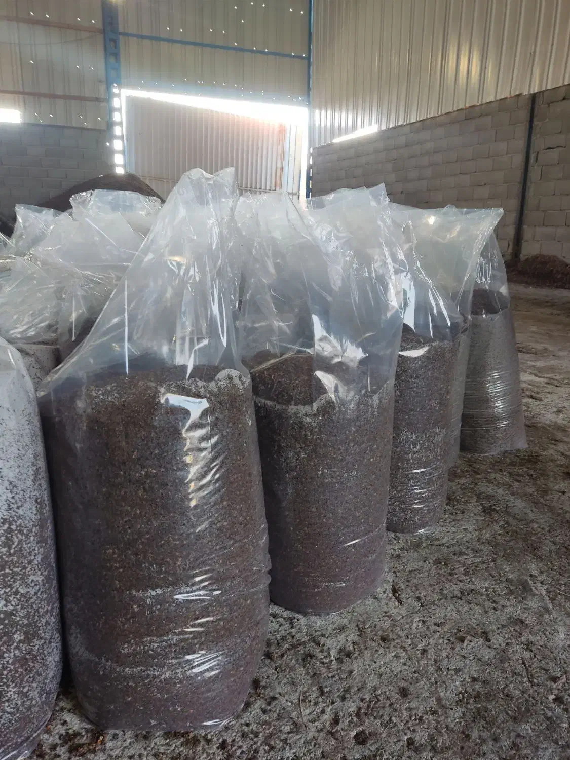 تفاله ی خرما|لوازم جانبی حیوانات|ارومیه, |دیوار